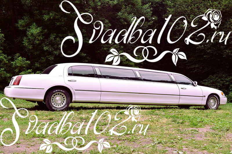 Выписка, юбилей, девичник, день рождения