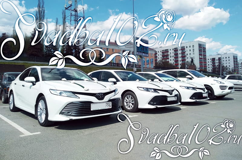 Свадьба на Тойота - Кортеж из Камри на свадьбу - Белые Toyota Camry Уфа